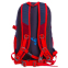 Рюкзак спортивный с жесткой спинкой COLOR LIFE TY-5293 22л цвета в ассортименте 3