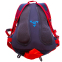 Рюкзак спортивный с жесткой спинкой COLOR LIFE TY-5293 22л цвета в ассортименте 4