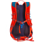 Рюкзак спортивный с жесткой спинкой COLOR LIFE TY-5293 22л цвета в ассортименте 24