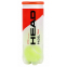 М'яч для падел-тенісу HEAD Padel Team 575603 3шт салатовий 3
