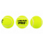 М'яч для падел-тенісу HEAD Padel Pro S+ 540303 3шт салатовий 1