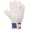 Воротарські рукавиці PARIS SAINT-GERMAIN BALLONSTAR FB-0187-2 розмір 8-10 синій-червоний 1