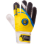 Перчатки вратарские INTER MILAN BALLONSTAR FB-0187-5 размер 8-10 желтый-черный 0