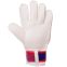 Воротарські рукавиці ARSENAL BALLONSTAR FB-0187-6 розмір 8-10 червоний-синій 1