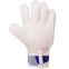 Воротарські рукавиці CHELSEA BALLONSTAR FB-0187-8 розмір 8-10 синій-білий 1