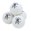 Набор мячей для настольного тенниса GIANT DRAGON STANDARD 2* MT-5692 6шт белый 0