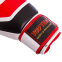 Боксерські рукавиці шкіряні TOP TEN MA-6752 10-14унцій кольори в асортименті 3