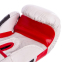 Боксерські рукавиці шкіряні TOP TEN MA-6752 10-14унцій кольори в асортименті 4