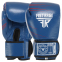 Перчатки боксерские кожаные FISTRAGE VL-6631 10-14унций цвета в ассортименте 5