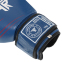 Перчатки боксерские кожаные FISTRAGE VL-6631 10-14унций цвета в ассортименте 7