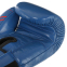 Перчатки боксерские кожаные FISTRAGE VL-6631 10-14унций цвета в ассортименте 8