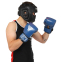 Перчатки боксерские кожаные FISTRAGE VL-6631 10-14унций цвета в ассортименте 19