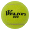Мяч для большого тенниса WELKIN 909 12шт салатовый 0