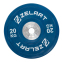 Блины (диски) бамперные для кроссфита резиновые d-52мм Zelart TA-7798-20 20кг синий 0