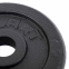 Блини (диски) сталеві d-30мм Zelart TA-7785-2_5 2,5 кг чорний 2