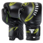Боксерські рукавиці шкіряні професійні FISTRAGE VL-8498 10-16унцій кольори в асортименті 6