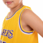 Форма баскетбольная детская NB-Sport NBA LAKERS 23 BA-0563 M-2XL цвета в ассортименте 20