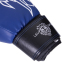 Перчатки боксерские LEV ТОП LV-4280 10-12 унций цвета в ассортименте 6