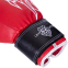 Перчатки боксерские LEV ТОП LV-4280 10-12 унций цвета в ассортименте 10