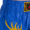 Шорты для тайского бокса и кикбоксинга SP-Planeta CO-3280 M-XXXL цвета в ассортименте 1