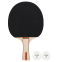Набір для настільного тенісу DUNLOP RAGE DL10285750 1 ракетка 2 м'ячі 0