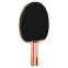 Набір для настільного тенісу DUNLOP RAGE DL10285750 1 ракетка 2 м'ячі 1