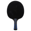 Ракетка для настільного тенісу DUNLOP EVOLUTION 2000 DL679340N 0