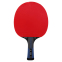 Ракетка для настільного тенісу DUNLOP EVOLUTION 2000 DL679340N 2