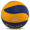 Мяч волейбольный WINSTAR VB-00027 №5 PU желтый-синий 2