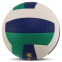 Мяч волейбольный WINSTAR VB-00031 №5 PU белый-синий-зеленый 0