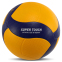 Мяч волейбольный WINSTAR VB-00032 №5 PU желтый-синий 1