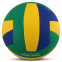 Мяч волейбольный WINSTAR VB-00033 №5 PU желтый-синий-зеленый 0