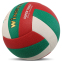 Мяч волейбольный WINSTAR VB-00034 №5 PU белый-красный-зеленый 1