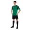 Форма футбольная Joma PHOENIX 102741-451 XS-2XL зеленый-черный 6