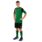 Форма футбольна комплект футболка та шорти Joma PHOENIX 102741-451 XS-2XL зелений-чорний 21