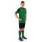 Форма футбольна комплект футболка та шорти Joma PHOENIX 102741-451 XS-2XL зелений-чорний 22