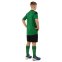 Форма футбольна комплект футболка та шорти Joma PHOENIX 102741-451 XS-2XL зелений-чорний 24
