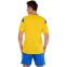Форма футбольная Joma PHOENIX 102741-907 XS-2XL желтый-синий 2