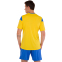 Форма футбольная комплект футболка и шорты Joma PHOENIX 102741-907 4XS-2XL желтый-синий 2