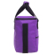 Термосумка (сумка-холодильник) SP-Sport GA-0292-10 10л кольори в асортименті 1