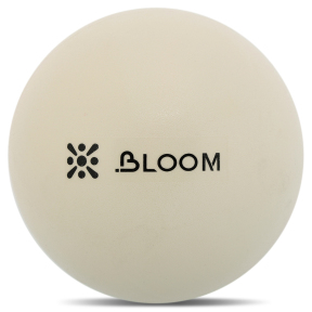 Мяч для пилатеса и йоги Mini Pilates Ball BLOOM LB7000-20 20см цвета в ассортименте
