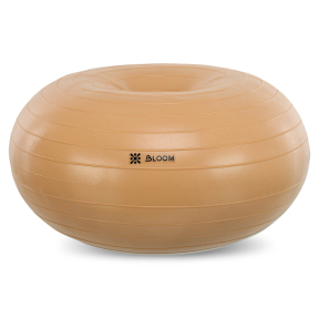 Фитбол мяч для баланса Пончик сатин BLOOM LB7050 ø55см цвета в ассортименте