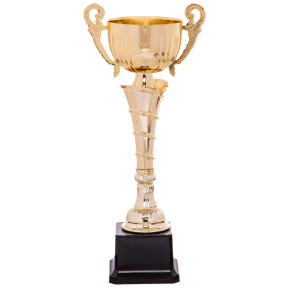 Кубок спортивный с ручками SP-Sport FEAST C-2060C высота 27см золотой