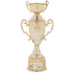 Кубок спортивний з ручками і кришкою SP-Sport ARES HB4127C висота 41см золотий