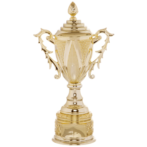 Кубок спортивный с ручками и крышкой SP-Sport REWARD HB4112C высота 37см золотой