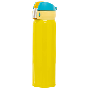 Бутылка-термос для воды стальная SP-Planeta 304 500мл цвета в ассортименте