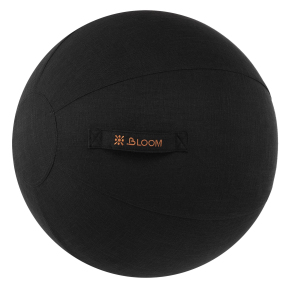 Чохол для фітболу м'яча для фітнесу BLOOM LB7129