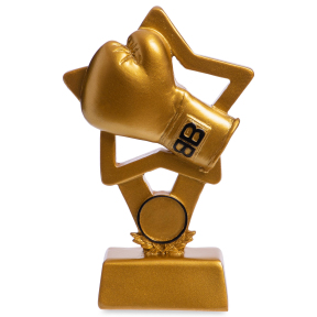 Статуетка нагородна спортивна Бокс Боксерська рукавичка SP-Sport C-1512-B5