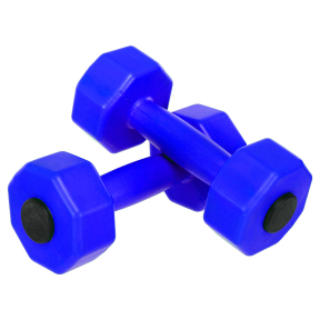 Гантели для фитнеса пластиковые Champion TA-9820-2 2шт 2кг цвета в ассортименте
