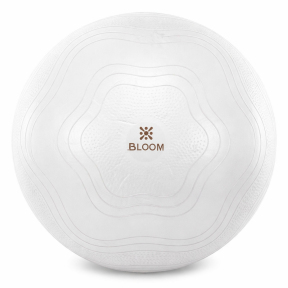 Фитбол мяч для фитнеса сатин BLOOM LB7051-65 ø65см цвета в ассортименте